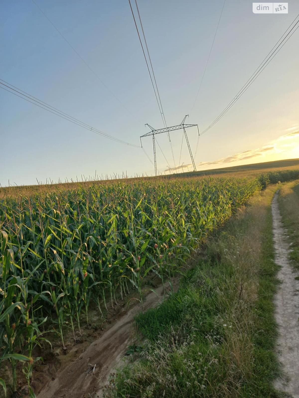 Оренда землі сільськогосподарського призначення в Жмеринці, ціна: 15 498 грн за об’єкт фото 1 Оренда землі сільськогосподарського призначення в Жмеринці, ціна: 15 498 грн за об’єкт фото 1