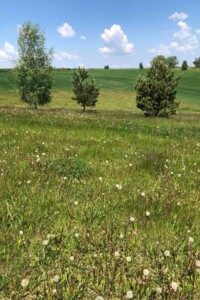 Аренда земли сельскохозяйственного назначения в Жмеринке, цена: 436 грн за объект фото 1 Аренда земли сельскохозяйственного назначения в Жмеринке, цена: 436 грн за объект фото 1