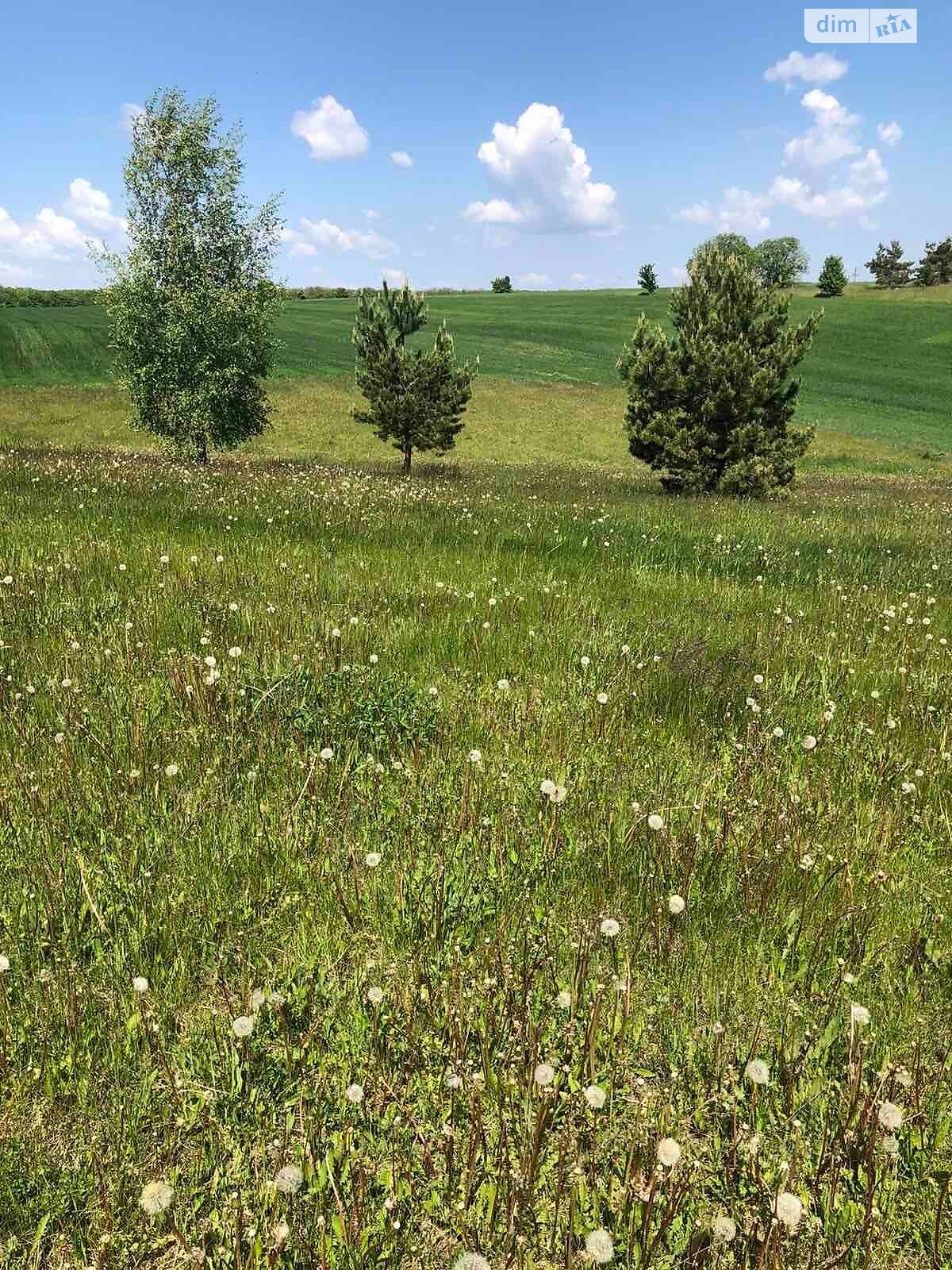 Аренда земли сельскохозяйственного назначения в Жмеринке, цена: 436 грн за объект фото 1 Аренда земли сельскохозяйственного назначения в Жмеринке, цена: 436 грн за объект фото 1