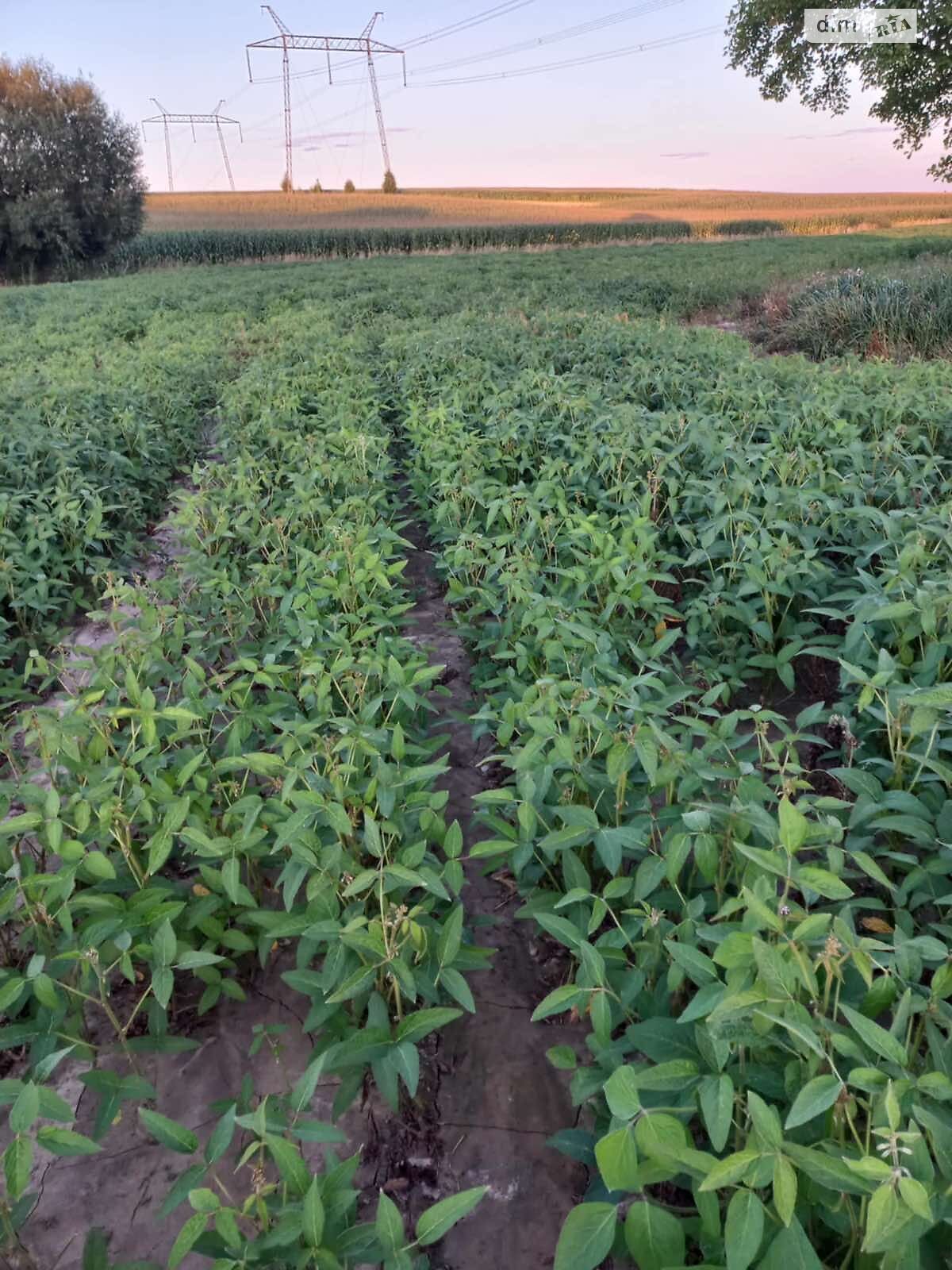 Аренда земли сельскохозяйственного назначения в Жмеринке, цена: 21 042 грн за объект фото 1 Аренда земли сельскохозяйственного назначения в Жмеринке, цена: 21 042 грн за объект фото 1