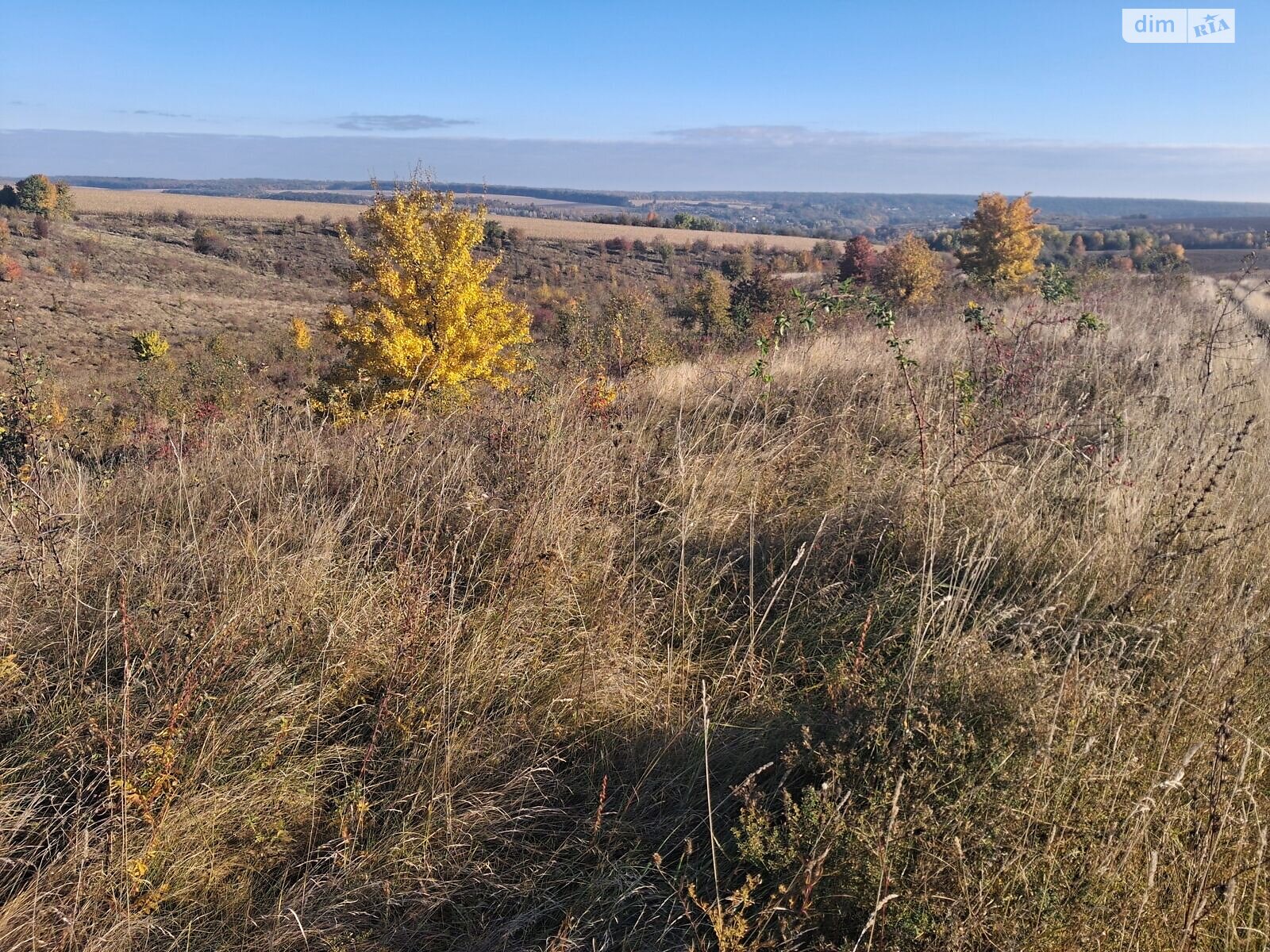 Оренда землі сільськогосподарського призначення в Жмеринці, ціна: 9 512 грн за об’єкт фото 1 Оренда землі сільськогосподарського призначення в Жмеринці, ціна: 9 512 грн за об’єкт фото 1