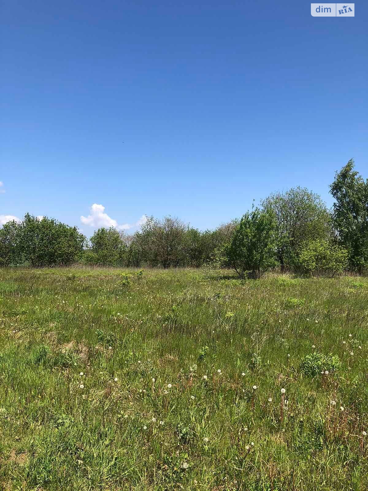 Аренда земли сельскохозяйственного назначения в Жмеринке, цена: 436 грн за объект фото 1 Аренда земли сельскохозяйственного назначения в Жмеринке, цена: 436 грн за объект фото 1