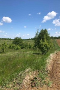 Аренда земли сельскохозяйственного назначения в Жмеринке, цена: 1 376 грн за объект фото 1