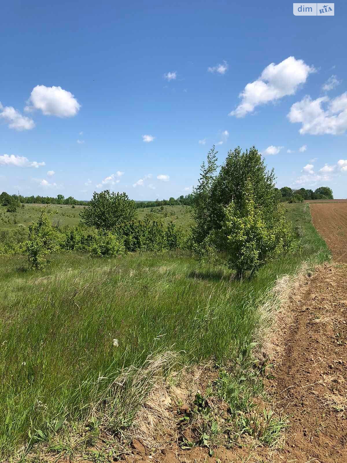 Аренда земли сельскохозяйственного назначения в Жмеринке, цена: 1 376 грн за объект фото 1 Аренда земли сельскохозяйственного назначения в Жмеринке, цена: 1 376 грн за объект фото 1