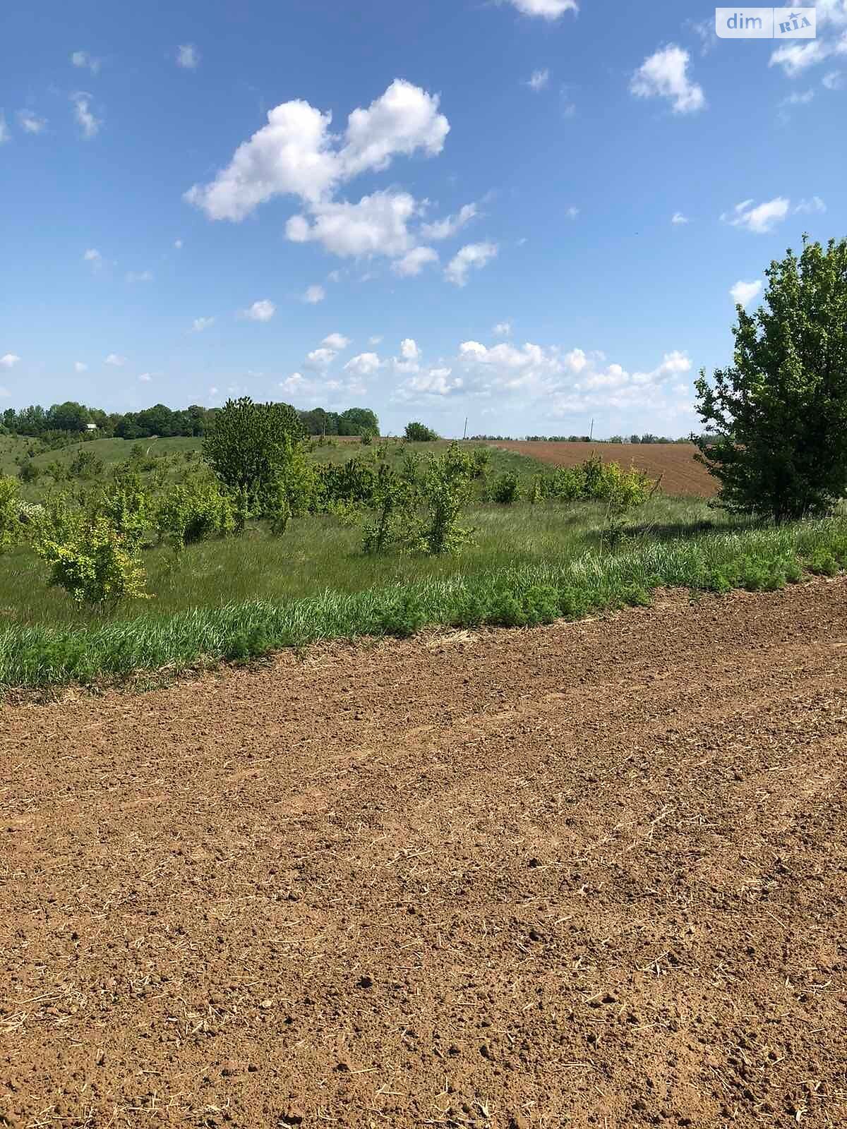 Аренда земли сельскохозяйственного назначения в Жмеринке, цена: 1 376 грн за объект фото 1 Аренда земли сельскохозяйственного назначения в Жмеринке, цена: 1 376 грн за объект фото 1