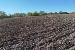 Аренда земли сельскохозяйственного назначения в Калайдинцах, цена: 2 986 грн за объект фото 1