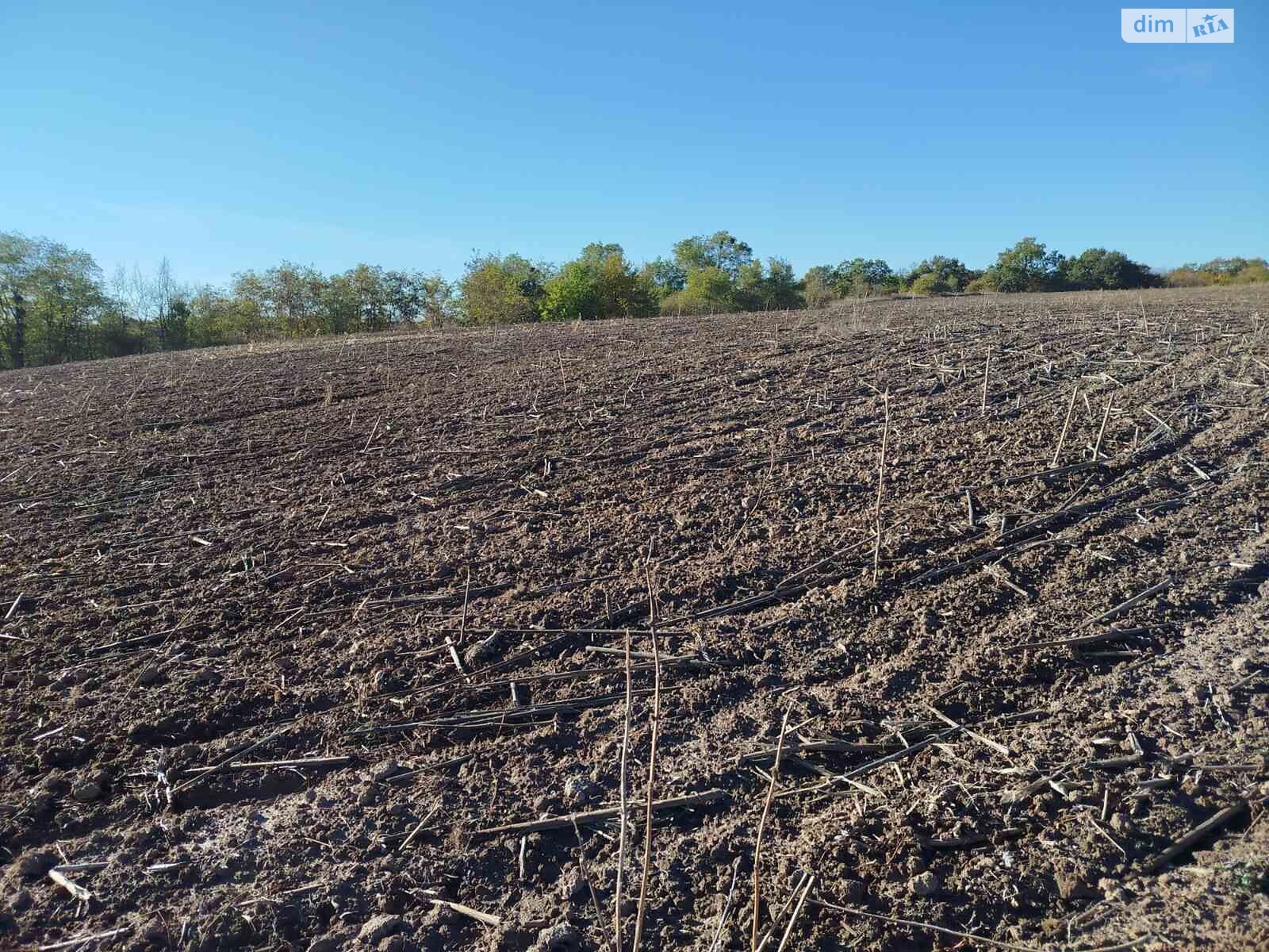 Аренда земли сельскохозяйственного назначения в Калайдинцах, цена: 2 986 грн за объект фото 1 Аренда земли сельскохозяйственного назначения в Калайдинцах, цена: 2 986 грн за объект фото 1