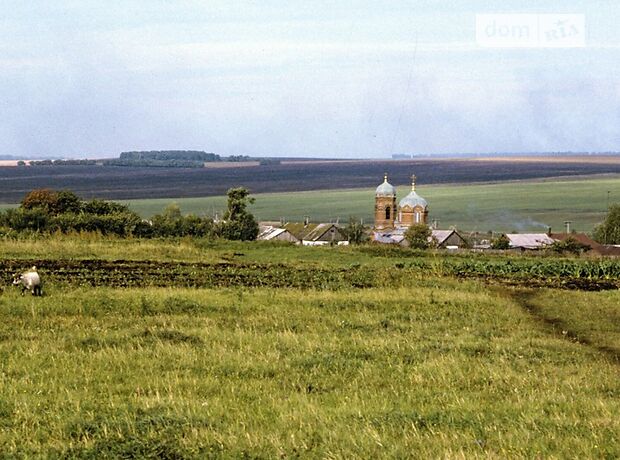 Аренда земли сельскохозяйственного назначения в селе Дружелюбовка, цена: договорная за объект фото 1 Аренда земли сельскохозяйственного назначения в селе Дружелюбовка, цена: договорная за объект фото 1