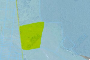 Оренда землі сільськогосподарського призначення в Камені, ціна: 3 219 грн за об’єкт фото 1