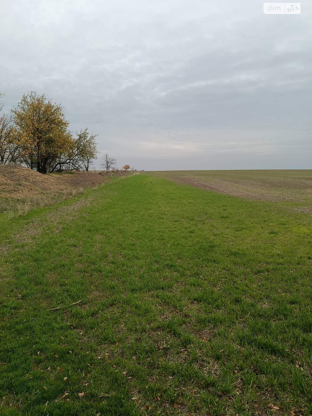 Оренда землі сільськогосподарського призначення в Кам’янці, ціна: 68 876 грн за об’єкт фото 1 Оренда землі сільськогосподарського призначення в Кам’янці, ціна: 68 876 грн за об’єкт фото 1