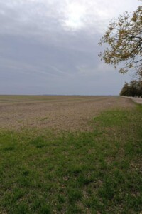 Аренда земли сельскохозяйственного назначения в Каменке, цена: 55 886 грн за объект фото 2