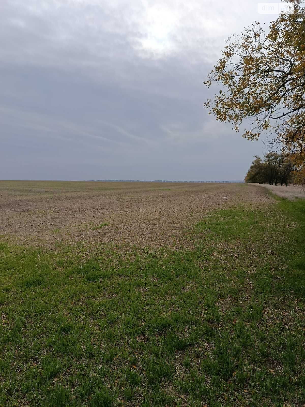 Аренда земли сельскохозяйственного назначения в Каменке, цена: 55 886 грн за объект фото 1