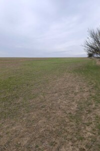 Оренда землі сільськогосподарського призначення в Кам’янці, ціна: 68 876 грн за об’єкт фото 2 Оренда землі сільськогосподарського призначення в Кам’янці, ціна: 68 876 грн за об’єкт фото 2