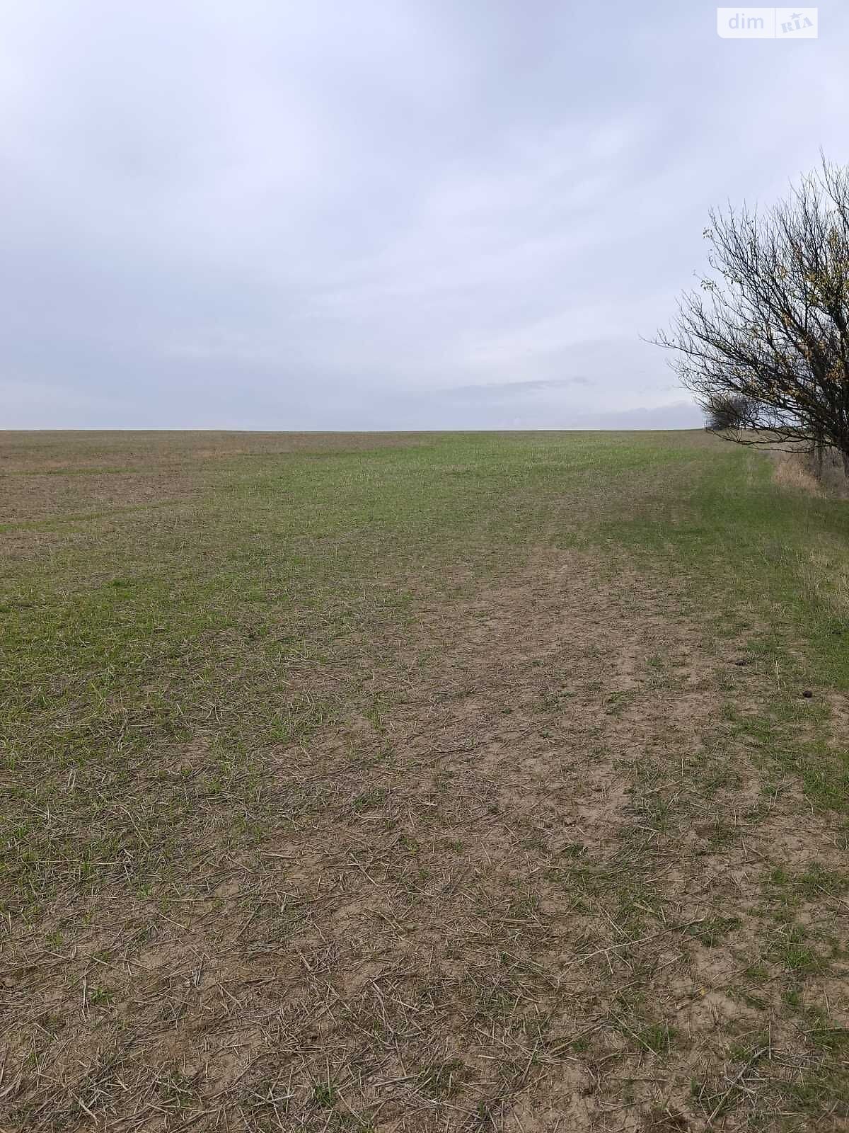 Оренда землі сільськогосподарського призначення в Кам’янці, ціна: 68 876 грн за об’єкт фото 1 Оренда землі сільськогосподарського призначення в Кам’янці, ціна: 68 876 грн за об’єкт фото 1