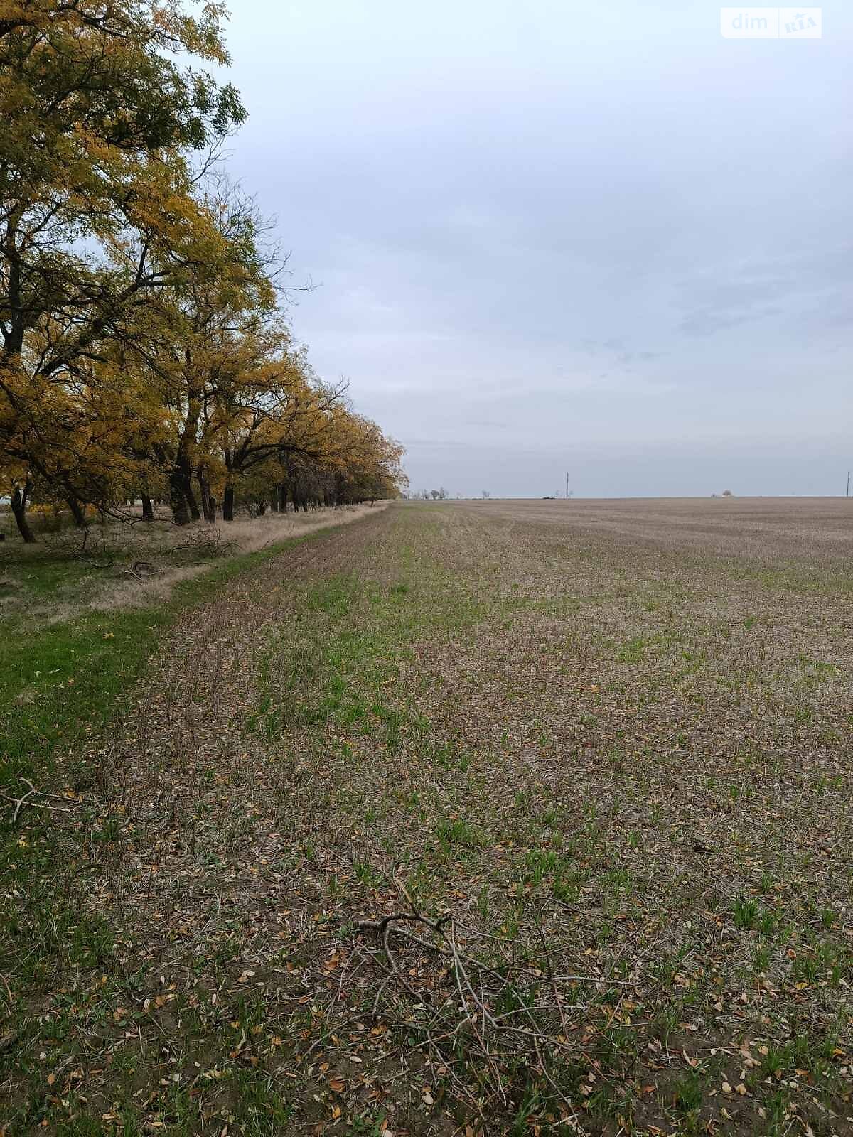 Аренда земли сельскохозяйственного назначения в Каменке, цена: 55 886 грн за объект фото 1