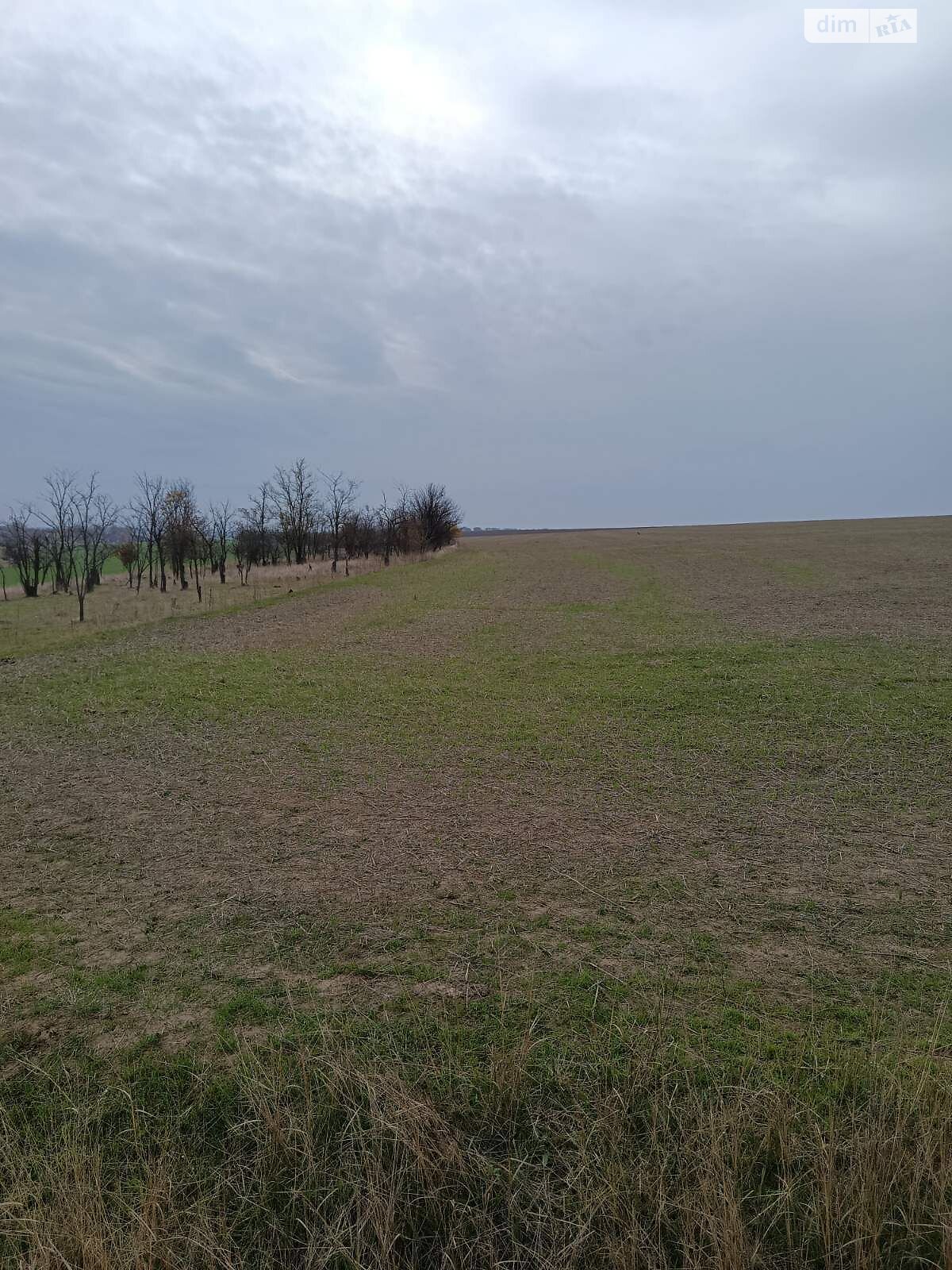 Оренда землі сільськогосподарського призначення в Кам’янці, ціна: 68 876 грн за об’єкт фото 1 Оренда землі сільськогосподарського призначення в Кам’янці, ціна: 68 876 грн за об’єкт фото 1