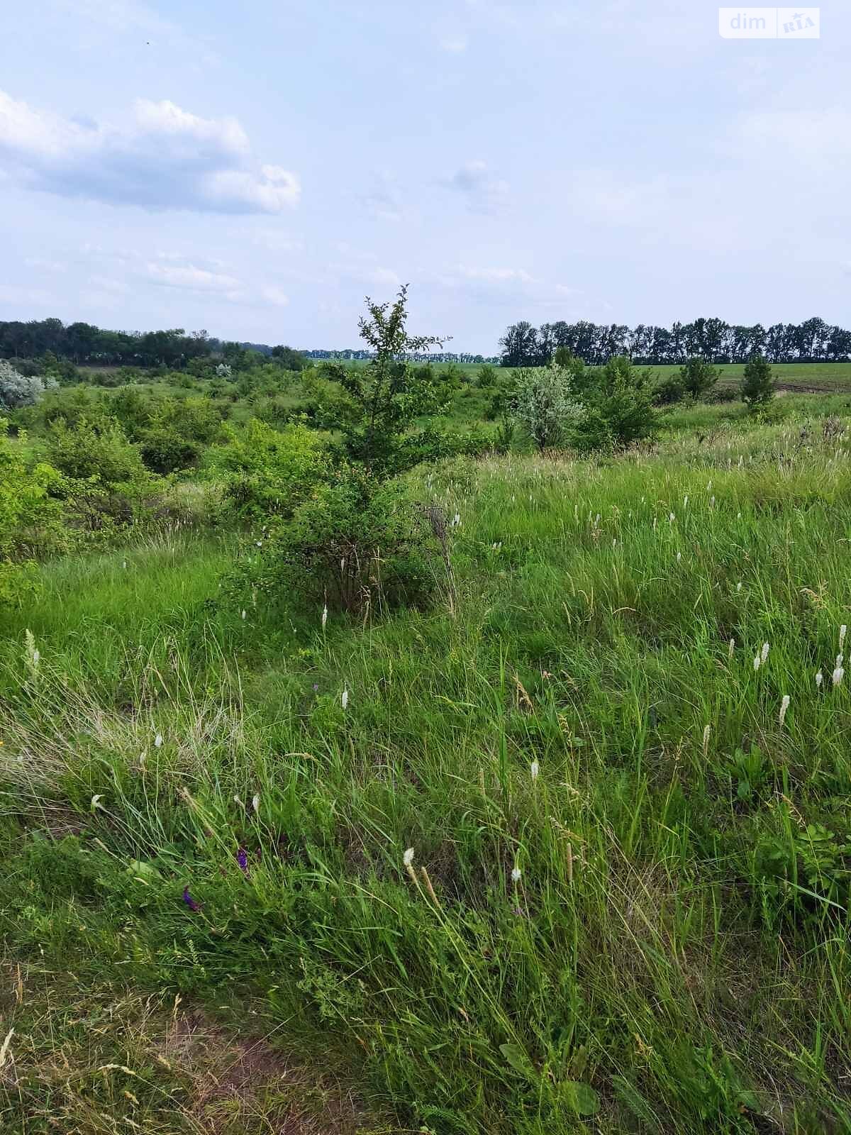 Аренда земли сельскохозяйственного назначения в Каменке, цена: 6 294 грн за объект фото 1 Аренда земли сельскохозяйственного назначения в Каменке, цена: 6 294 грн за объект фото 1