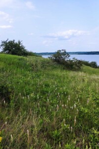 Аренда земли сельскохозяйственного назначения в Каменке, цена: 6 294 грн за объект фото 2 Аренда земли сельскохозяйственного назначения в Каменке, цена: 6 294 грн за объект фото 2