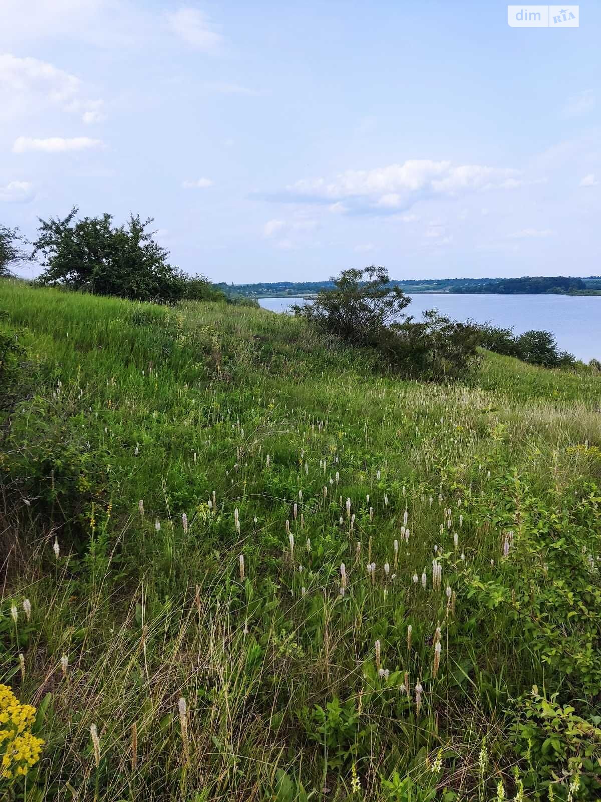 Аренда земли сельскохозяйственного назначения в Каменке, цена: 6 294 грн за объект фото 1 Аренда земли сельскохозяйственного назначения в Каменке, цена: 6 294 грн за объект фото 1