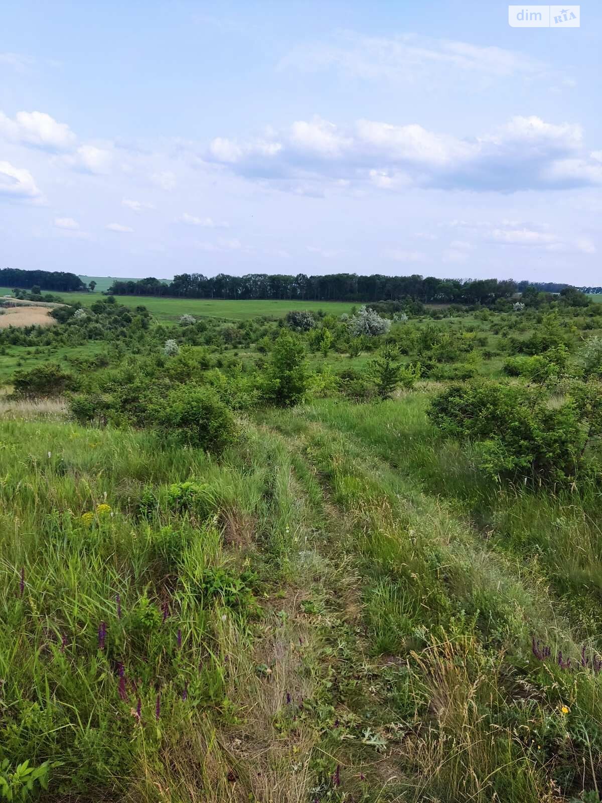 Аренда земли сельскохозяйственного назначения в Каменке, цена: 6 294 грн за объект фото 1 Аренда земли сельскохозяйственного назначения в Каменке, цена: 6 294 грн за объект фото 1