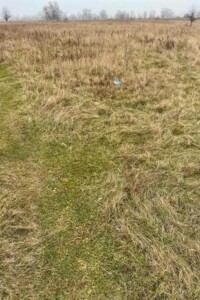 Аренда земли сельскохозяйственного назначения в Казацком, цена: 5 414 грн за объект фото 1