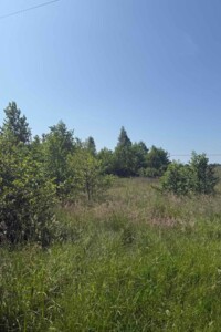 Оренда землі сільськогосподарського призначення в Кисоричах, ціна: 2 805 грн за об’єкт фото 1 Оренда землі сільськогосподарського призначення в Кисоричах, ціна: 2 805 грн за об’єкт фото 1