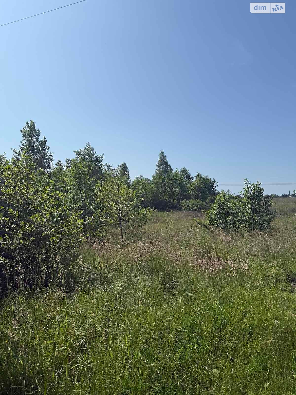 Оренда землі сільськогосподарського призначення в Кисоричах, ціна: 2 805 грн за об’єкт фото 1 Оренда землі сільськогосподарського призначення в Кисоричах, ціна: 2 805 грн за об’єкт фото 1