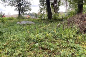 Оренда землі сільськогосподарського призначення в Киянці, ціна: 7 892 грн за об’єкт фото 1