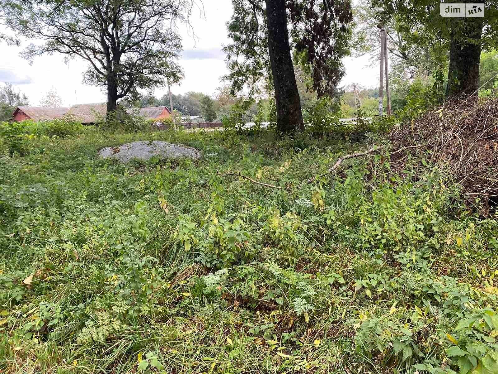 Оренда землі сільськогосподарського призначення в Киянці, ціна: 7 892 грн за об’єкт фото 1