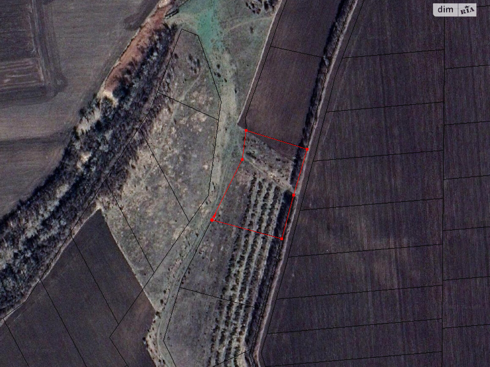 Оренда землі сільськогосподарського призначення в Княжиках, ціна: 6 579 грн за об’єкт фото 1