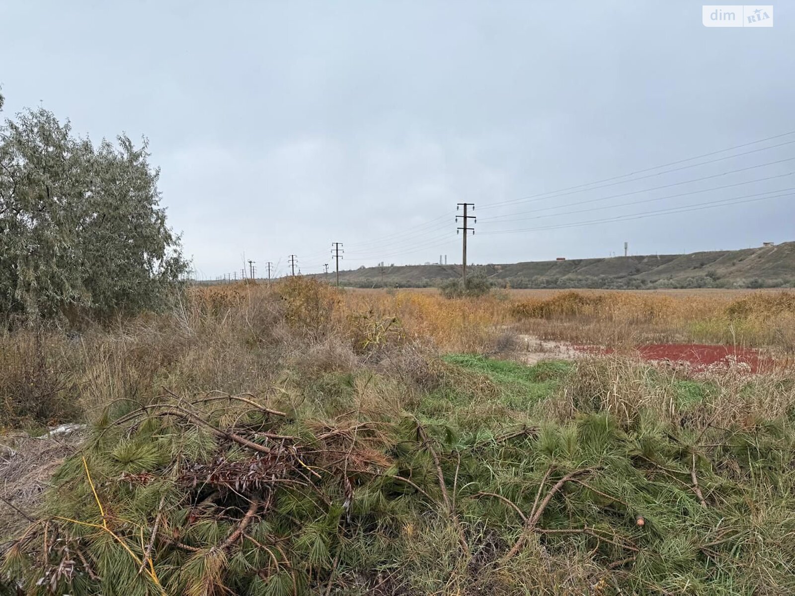 Аренда земли сельскохозяйственного назначения в Коблеве, цена: 5 818 грн за объект фото 1 Аренда земли сельскохозяйственного назначения в Коблеве, цена: 5 818 грн за объект фото 1
