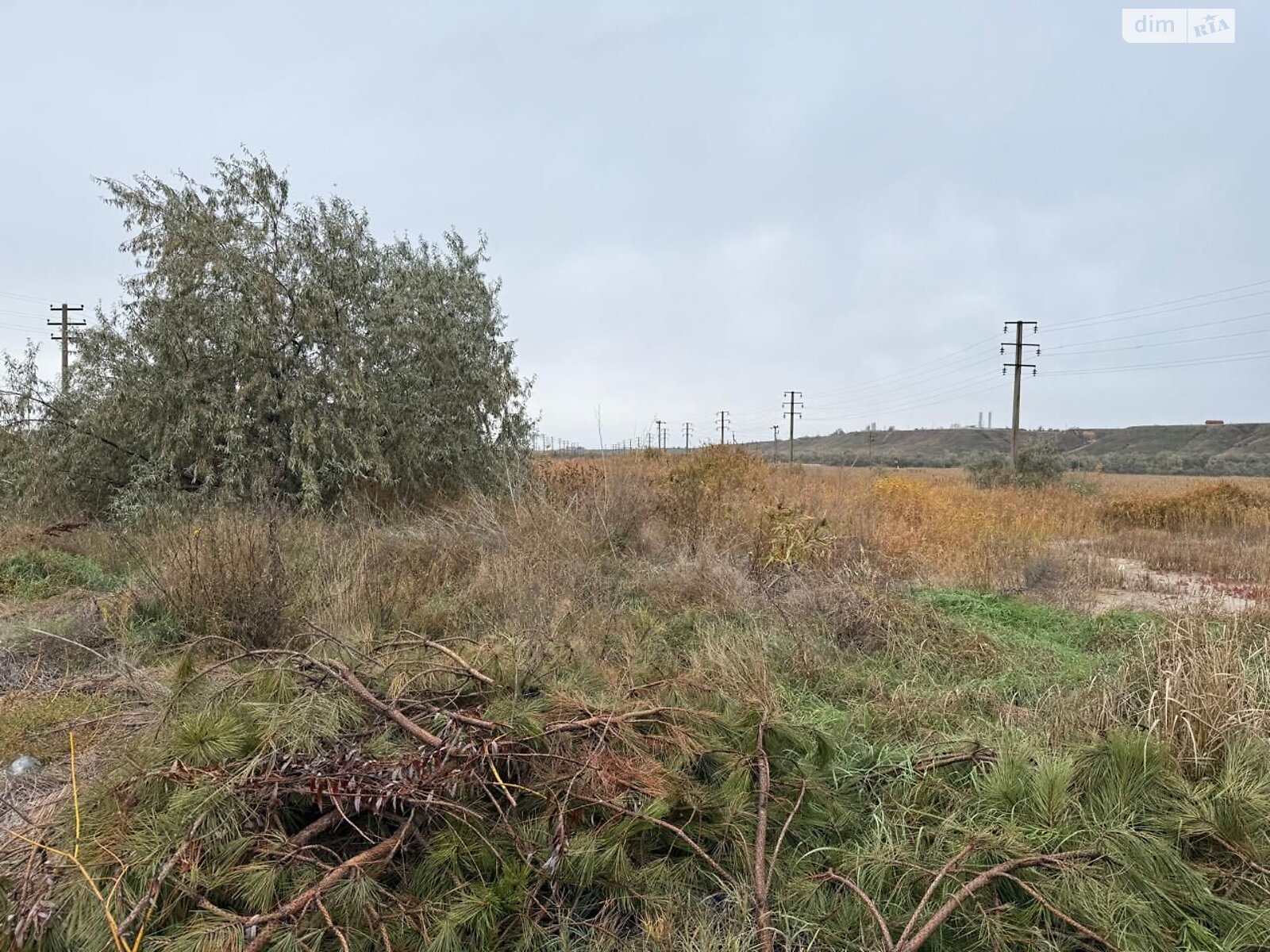 Аренда земли сельскохозяйственного назначения в Коблеве, цена: 5 818 грн за объект фото 1 Аренда земли сельскохозяйственного назначения в Коблеве, цена: 5 818 грн за объект фото 1