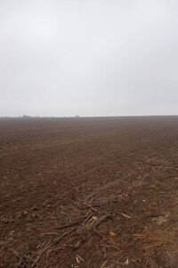 Аренда земли сельскохозяйственного назначения в Колодеевке, цена: 5 864 грн за объект фото 2 Аренда земли сельскохозяйственного назначения в Колодеевке, цена: 5 864 грн за объект фото 2