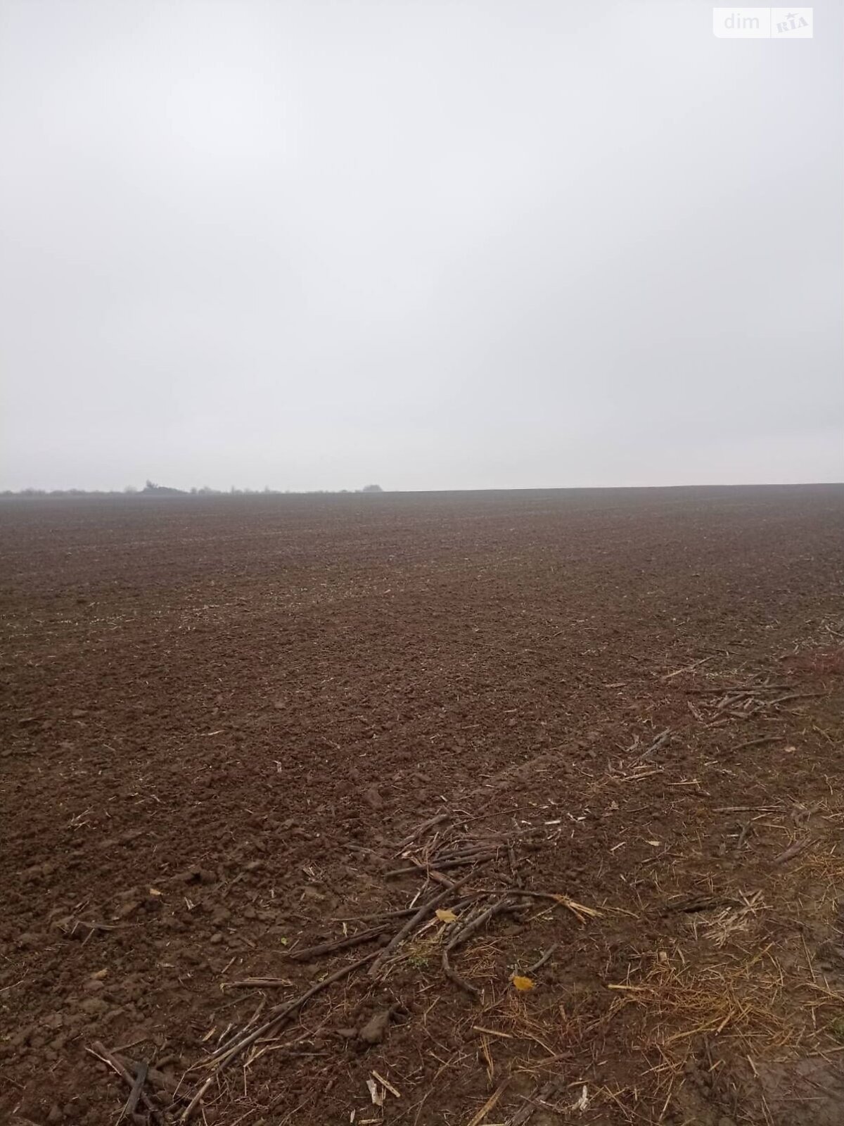 Аренда земли сельскохозяйственного назначения в Колодеевке, цена: 5 864 грн за объект фото 1 Аренда земли сельскохозяйственного назначения в Колодеевке, цена: 5 864 грн за объект фото 1