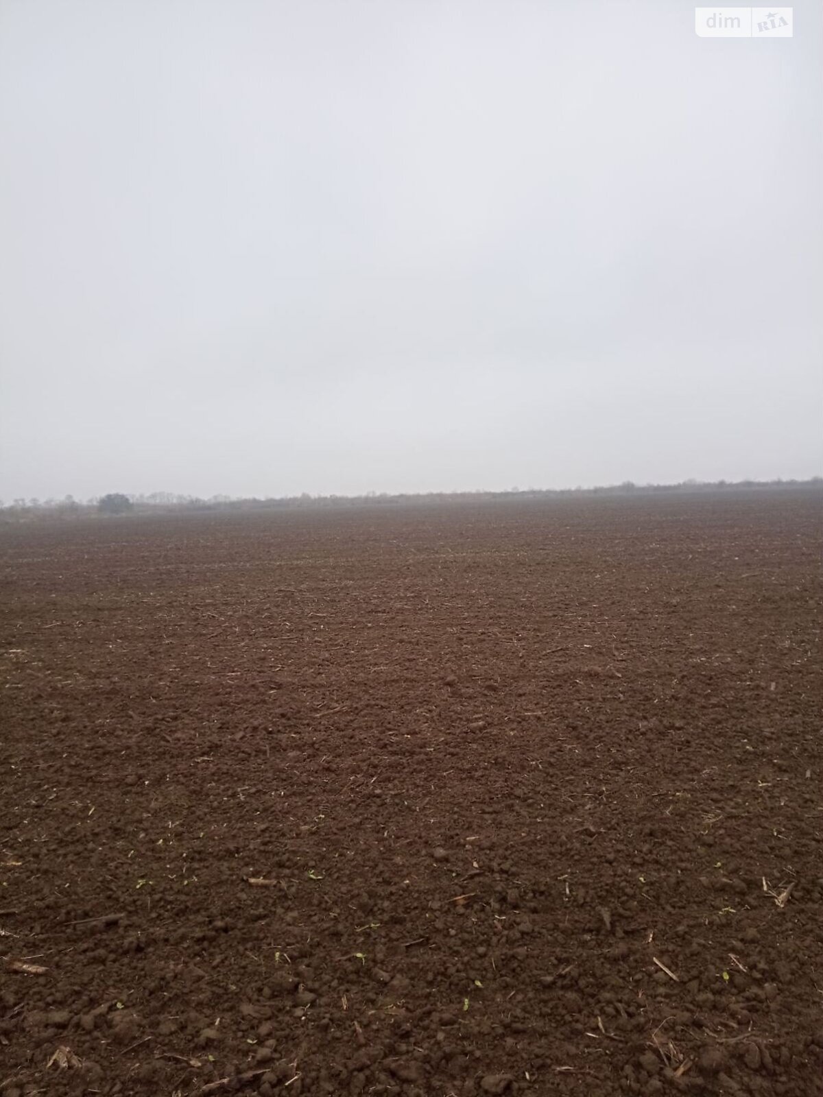 Аренда земли сельскохозяйственного назначения в Колодеевке, цена: 5 864 грн за объект фото 1 Аренда земли сельскохозяйственного назначения в Колодеевке, цена: 5 864 грн за объект фото 1