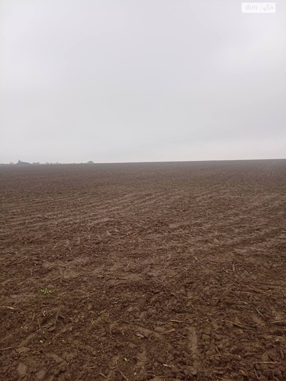 Аренда земли сельскохозяйственного назначения в Колодеевке, цена: 5 864 грн за объект фото 1 Аренда земли сельскохозяйственного назначения в Колодеевке, цена: 5 864 грн за объект фото 1