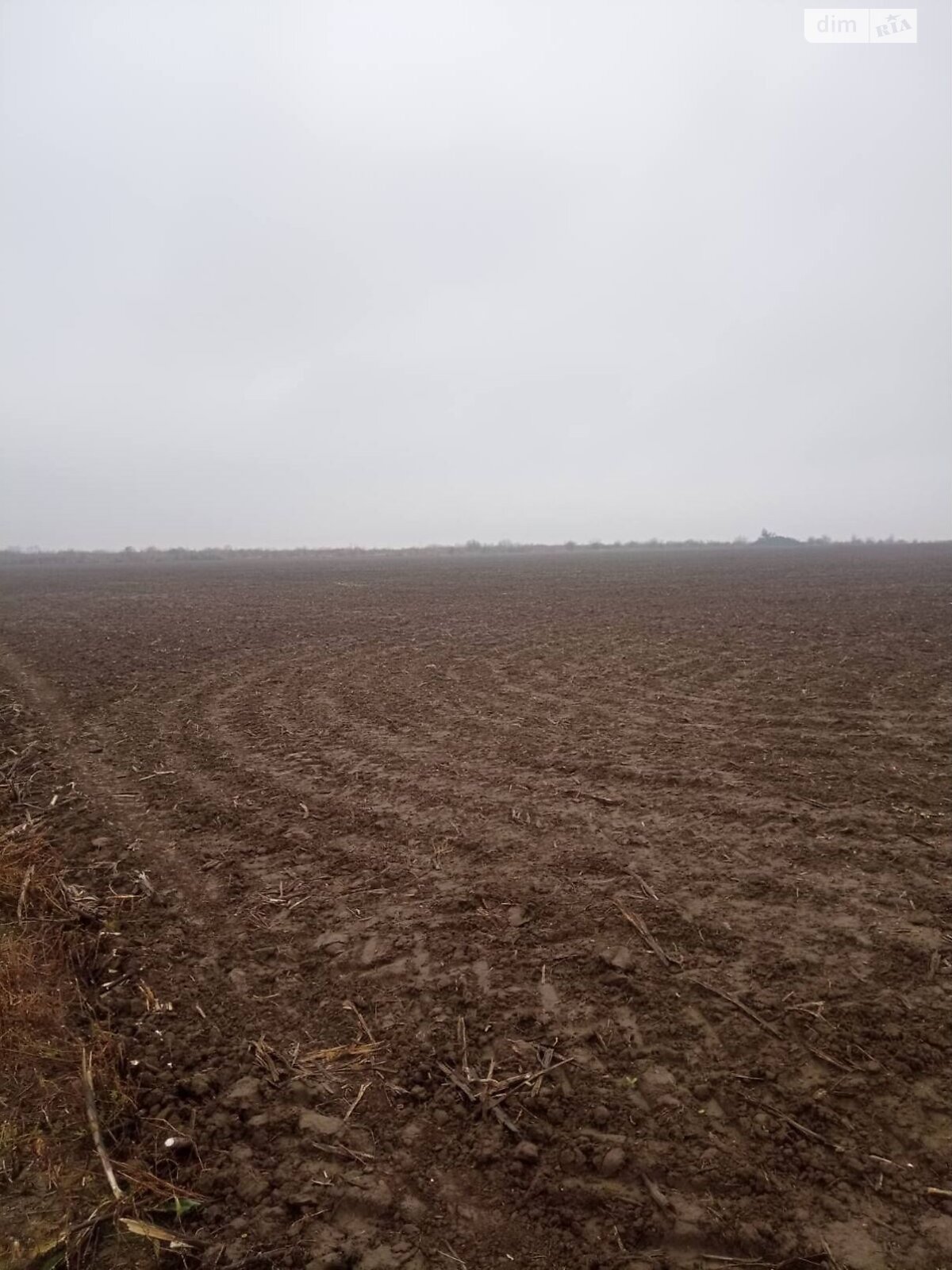 Оренда землі сільськогосподарського призначення в Колодіївці, ціна: 5 256 грн за об’єкт фото 1 Оренда землі сільськогосподарського призначення в Колодіївці, ціна: 5 256 грн за об’єкт фото 1