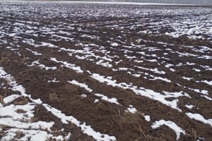 Аренда земли сельскохозяйственного назначения в Коломаке, цена: 65 020 грн за объект фото 1 Аренда земли сельскохозяйственного назначения в Коломаке, цена: 65 020 грн за объект фото 1