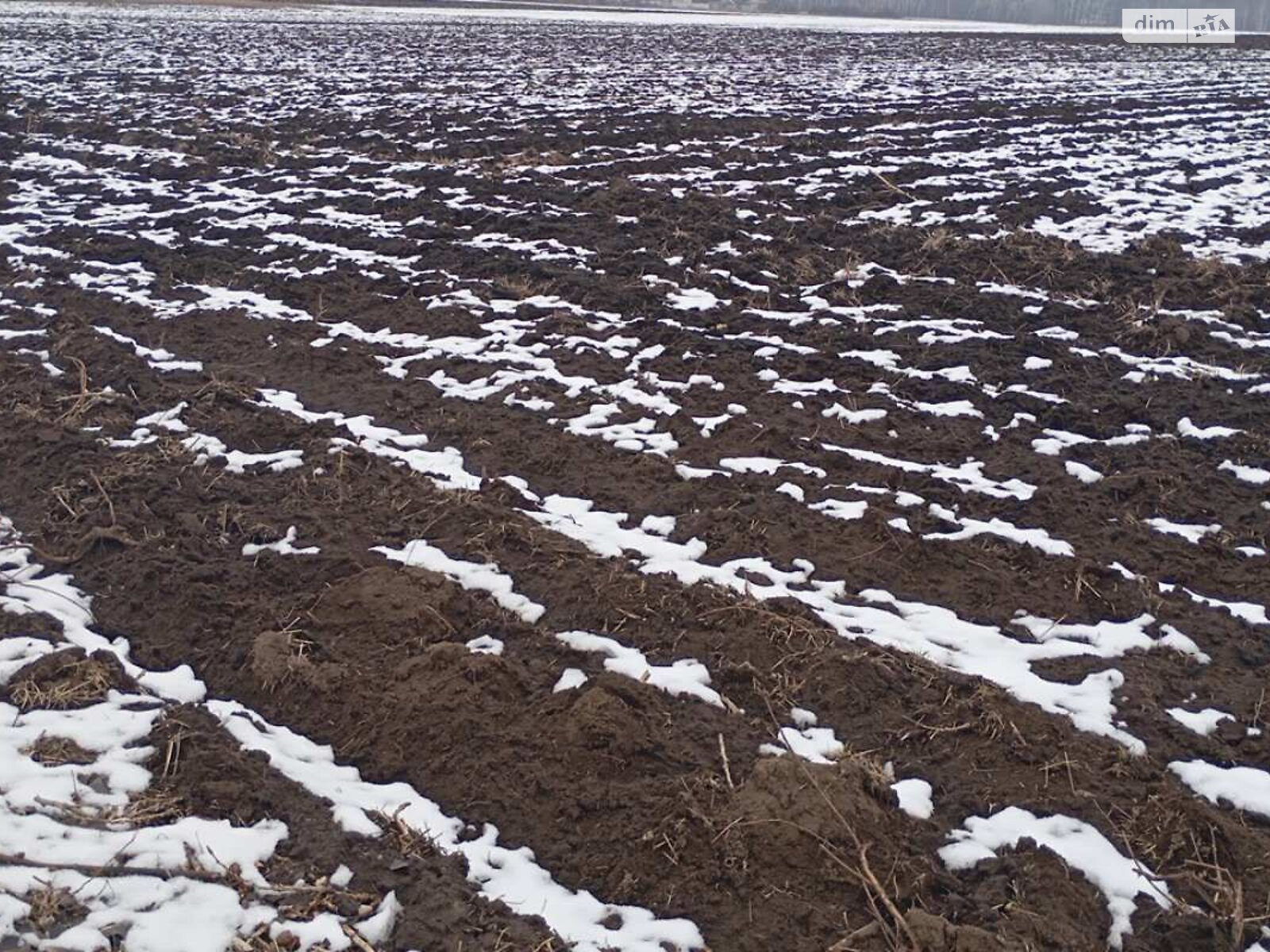 Аренда земли сельскохозяйственного назначения в Коломаке, цена: 65 020 грн за объект фото 1 Аренда земли сельскохозяйственного назначения в Коломаке, цена: 65 020 грн за объект фото 1