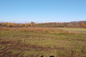 Аренда земли сельскохозяйственного назначения в Корнине, цена: 1 417 грн за объект фото 1 Аренда земли сельскохозяйственного назначения в Корнине, цена: 1 417 грн за объект фото 1