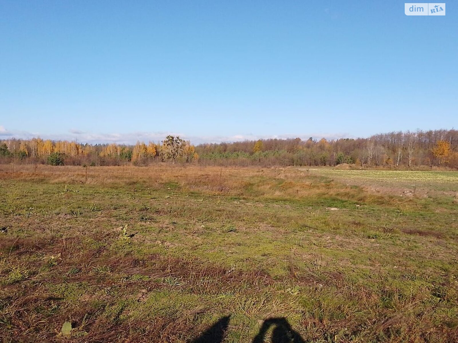 Аренда земли сельскохозяйственного назначения в Корнине, цена: 1 417 грн за объект фото 1 Аренда земли сельскохозяйственного назначения в Корнине, цена: 1 417 грн за объект фото 1