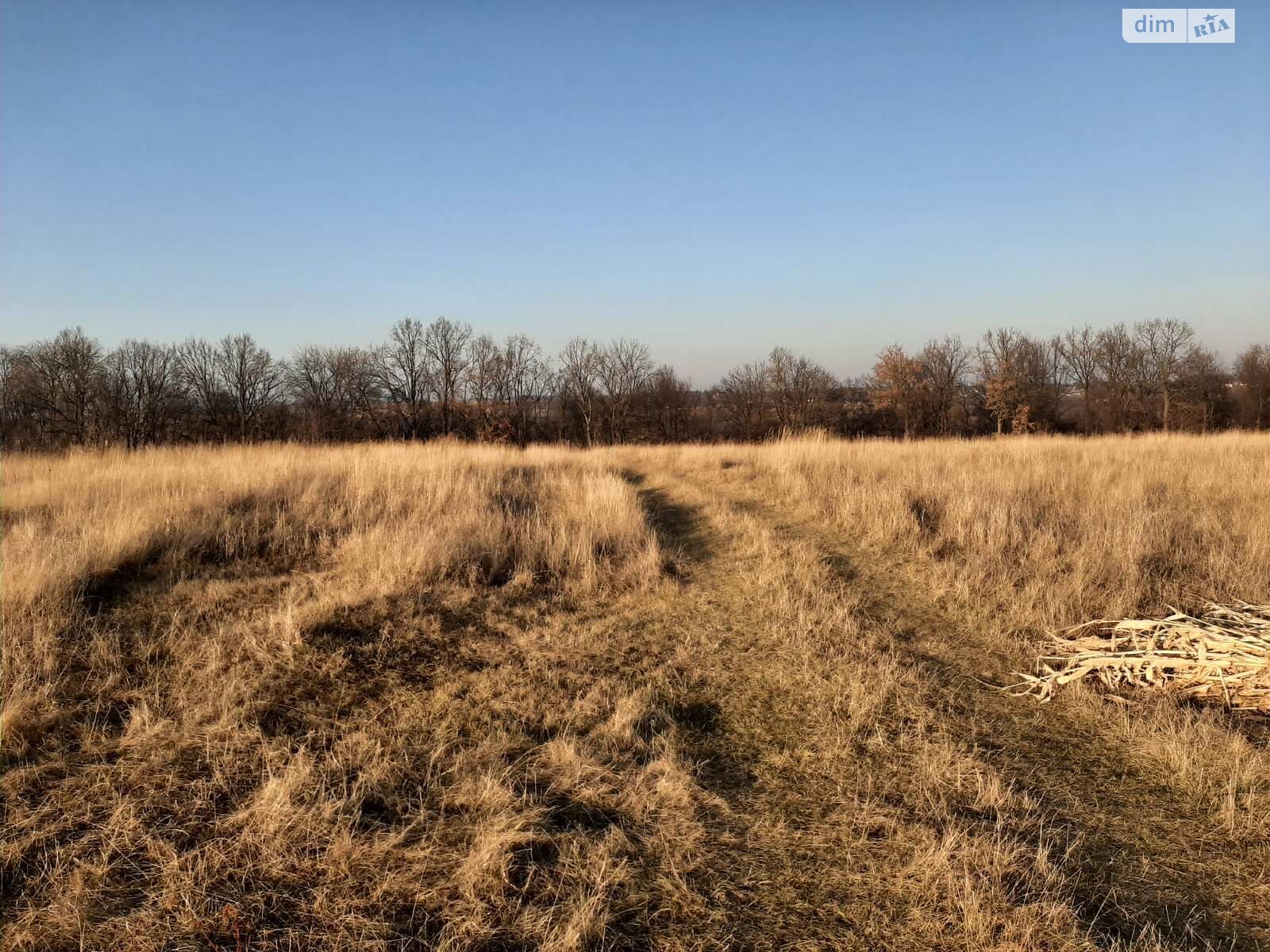 Оренда землі сільськогосподарського призначення в Корнові, ціна: 12 782 грн за об’єкт фото 1 Оренда землі сільськогосподарського призначення в Корнові, ціна: 12 782 грн за об’єкт фото 1