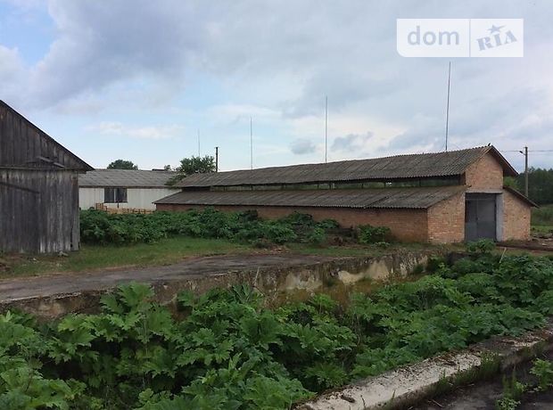 Оренда землі сільськогосподарського призначення в селі Деражне, ціна: 126 582 грн за об’єкт фото 1 Оренда землі сільськогосподарського призначення в селі Деражне, ціна: 126 582 грн за об’єкт фото 1