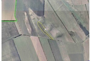 Оренда землі сільськогосподарського призначення в Коси-Слобідці, ціна: 10 156 грн за об’єкт фото 1 Оренда землі сільськогосподарського призначення в Коси-Слобідці, ціна: 10 156 грн за об’єкт фото 1