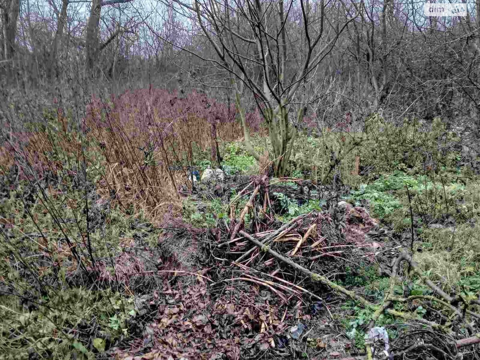 Аренда земли сельскохозяйственного назначения в Козовке, цена: 11 115 грн за объект фото 1 Аренда земли сельскохозяйственного назначения в Козовке, цена: 11 115 грн за объект фото 1