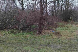 Аренда земли сельскохозяйственного назначения в Козовке, цена: 11 115 грн за объект фото 2 Аренда земли сельскохозяйственного назначения в Козовке, цена: 11 115 грн за объект фото 2