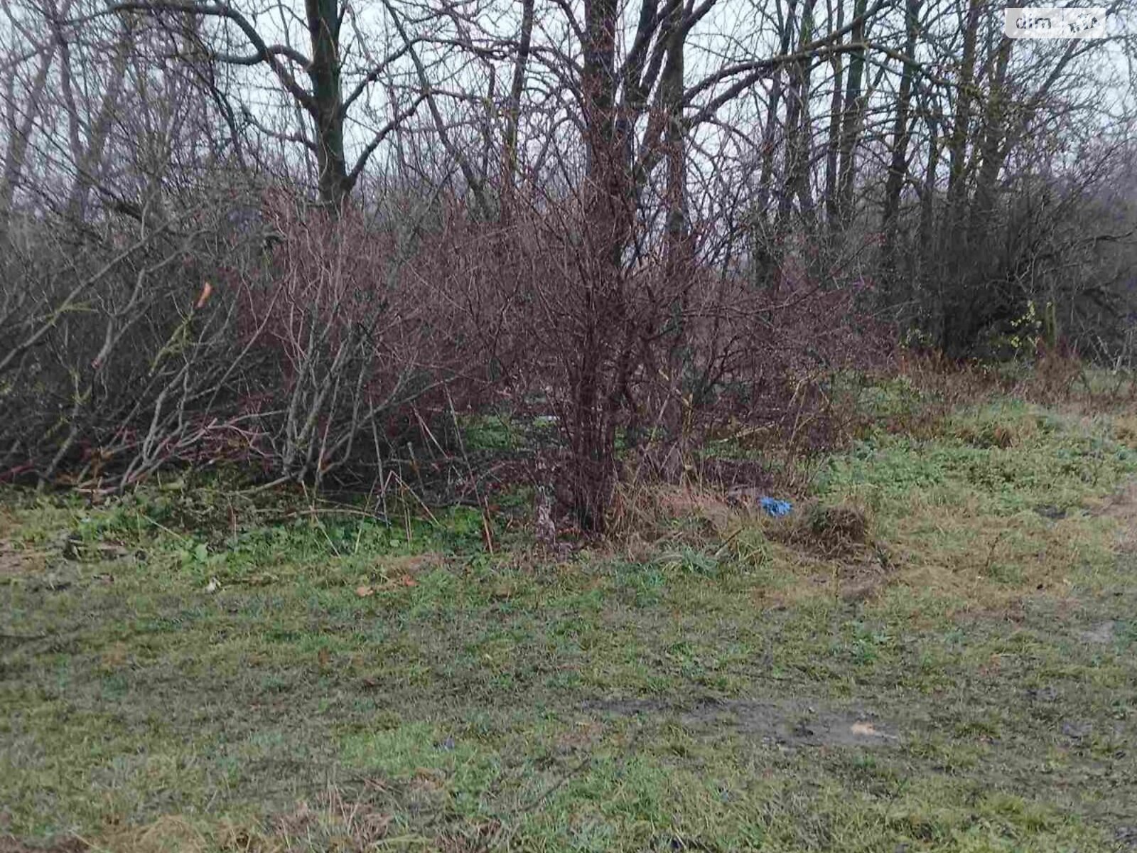 Аренда земли сельскохозяйственного назначения в Козовке, цена: 11 115 грн за объект фото 1 Аренда земли сельскохозяйственного назначения в Козовке, цена: 11 115 грн за объект фото 1