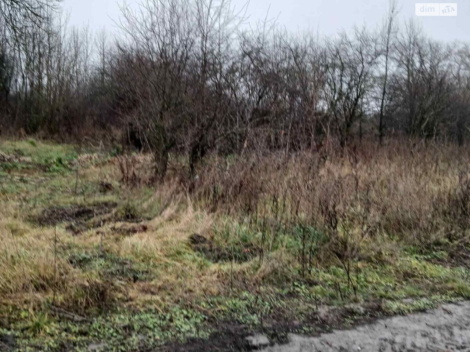 Аренда земли сельскохозяйственного назначения в Козовке, цена: 11 115 грн за объект фото 1 Аренда земли сельскохозяйственного назначения в Козовке, цена: 11 115 грн за объект фото 1