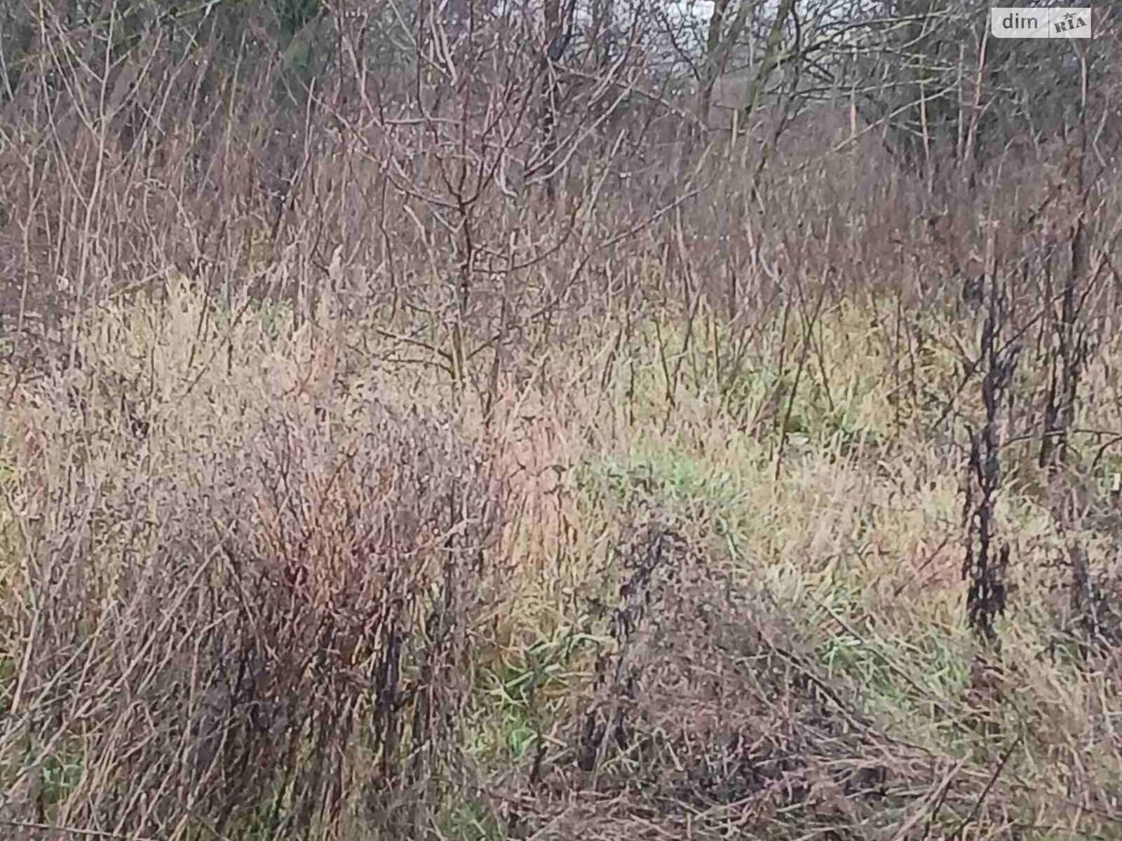 Аренда земли сельскохозяйственного назначения в Козовке, цена: 11 115 грн за объект фото 1 Аренда земли сельскохозяйственного назначения в Козовке, цена: 11 115 грн за объект фото 1