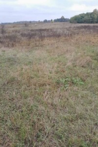 Оренда землі сільськогосподарського призначення в Красилівці, ціна: 11 979 грн за об’єкт фото 1